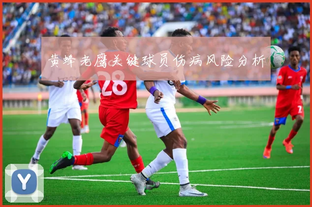 黄蜂老鹰关键球员伤病风险分析