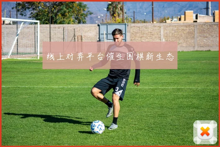 线上对弈平台催生围棋新生态