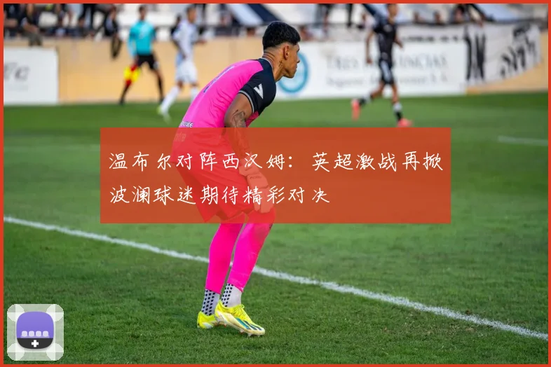 温布尔对阵西汉姆：英超激战再掀波澜球迷期待精彩对决