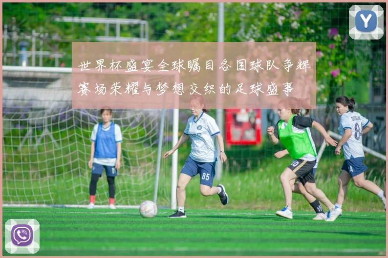 世界杯盛宴全球瞩目各国球队争辉赛场荣耀与梦想交织的足球盛事